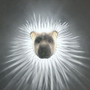 Lampka nocna Lew – królewski