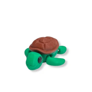 Żółwik ogólny widok