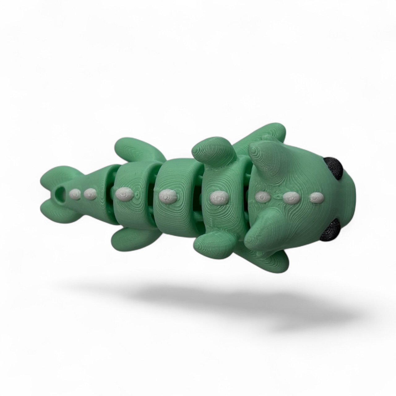 Axolotl widok z góry