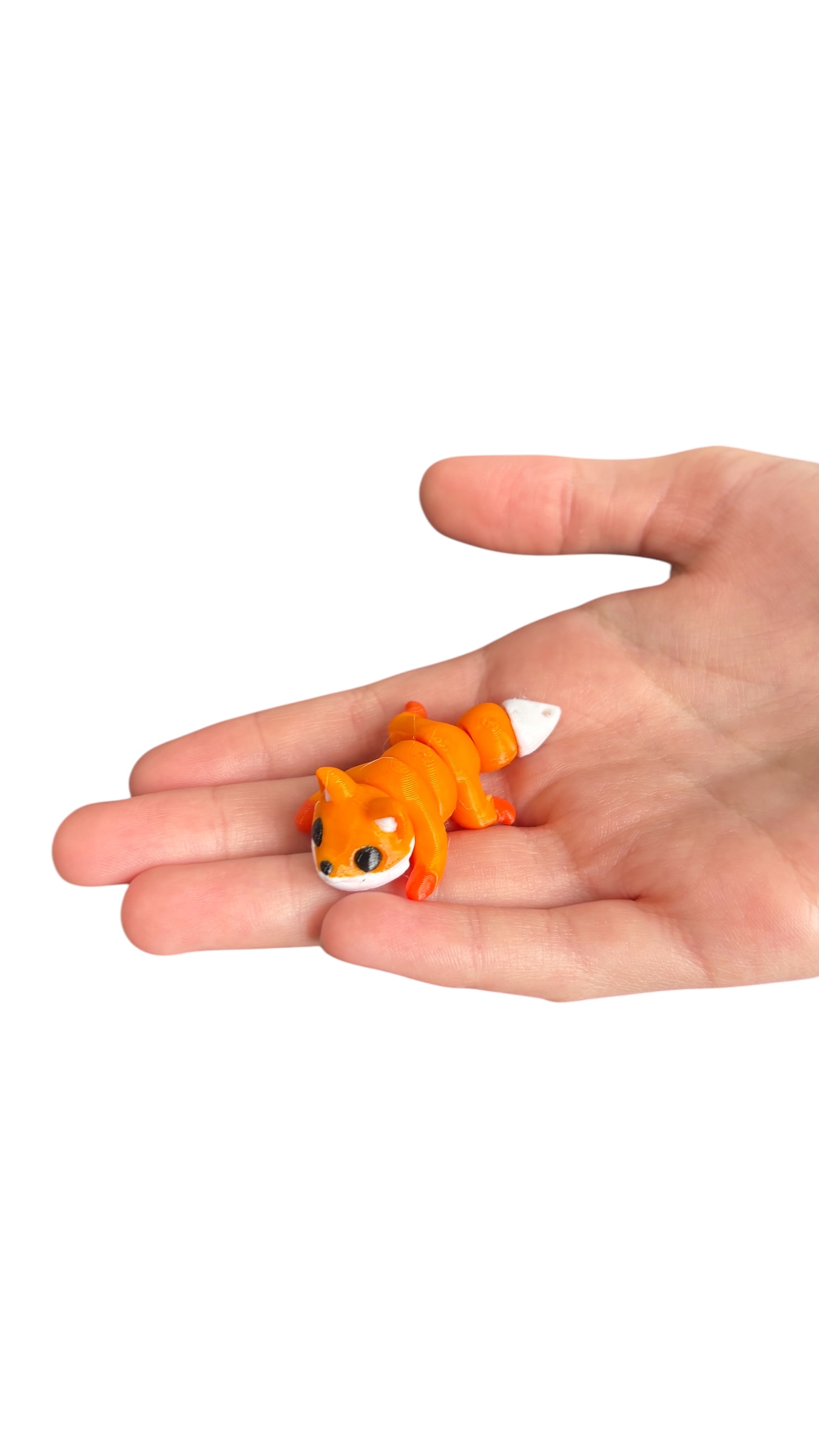 Lisek Dynks na dłoni